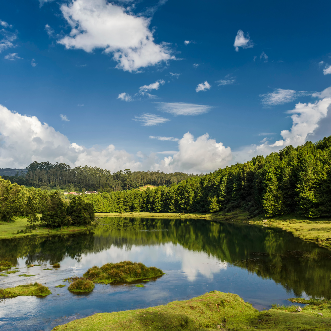 Mysore & Ooty